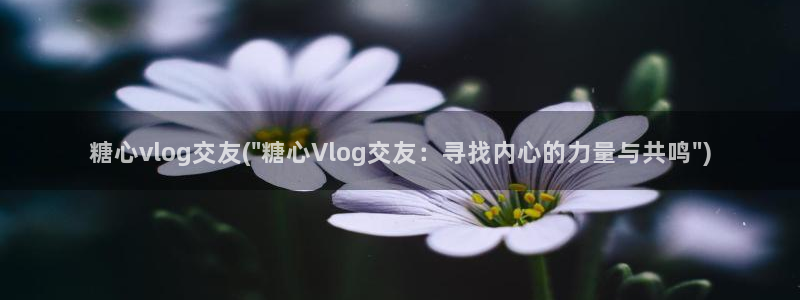 18糖心vlog传媒：糖心vlog交友(\