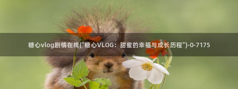 糖心vlog蜘蛛侠在线