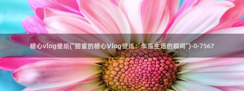 糖心vlog不被拦截