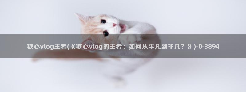 糖心Vlog cos蕾