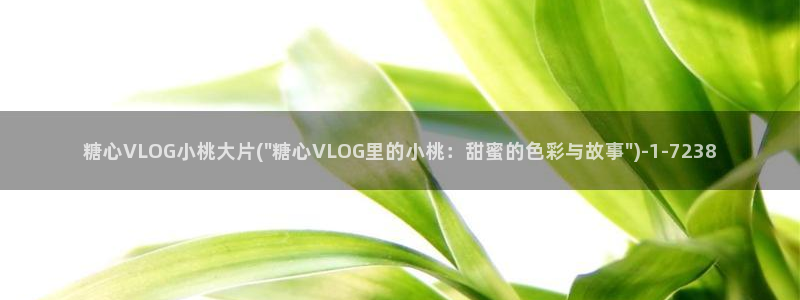 糖心vlog下载地址