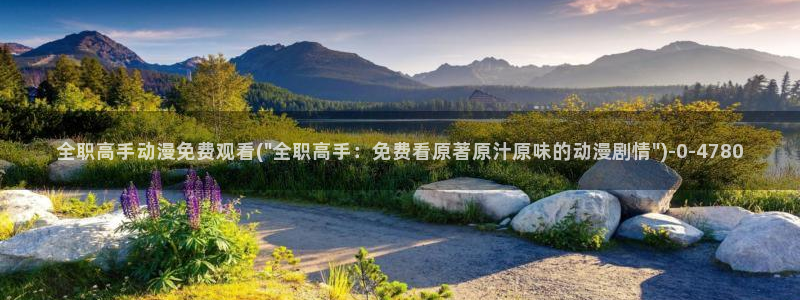动漫网站