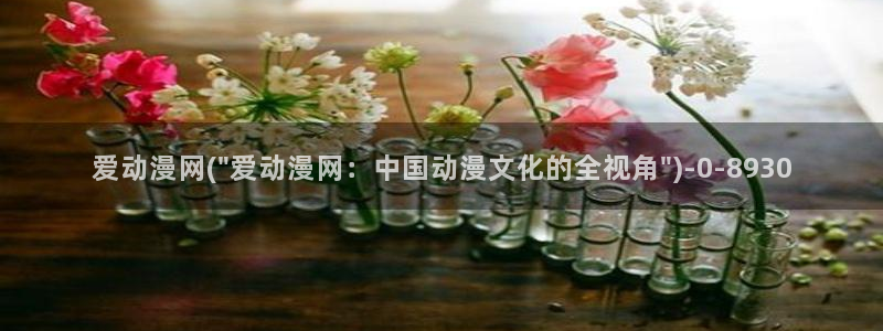 免费看动漫的软件