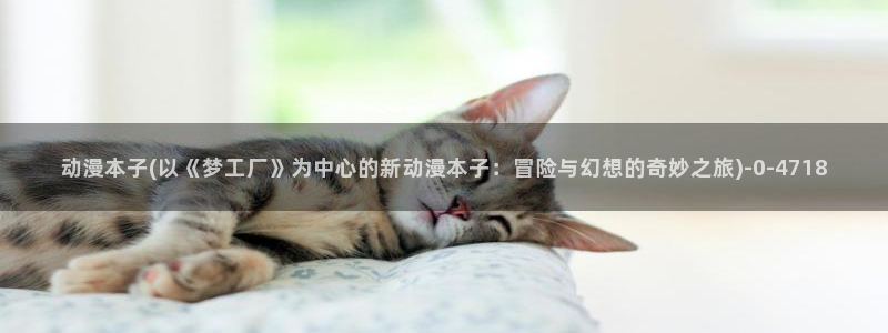 热血动漫