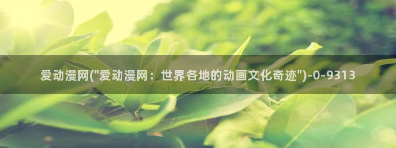 黄页动漫网站